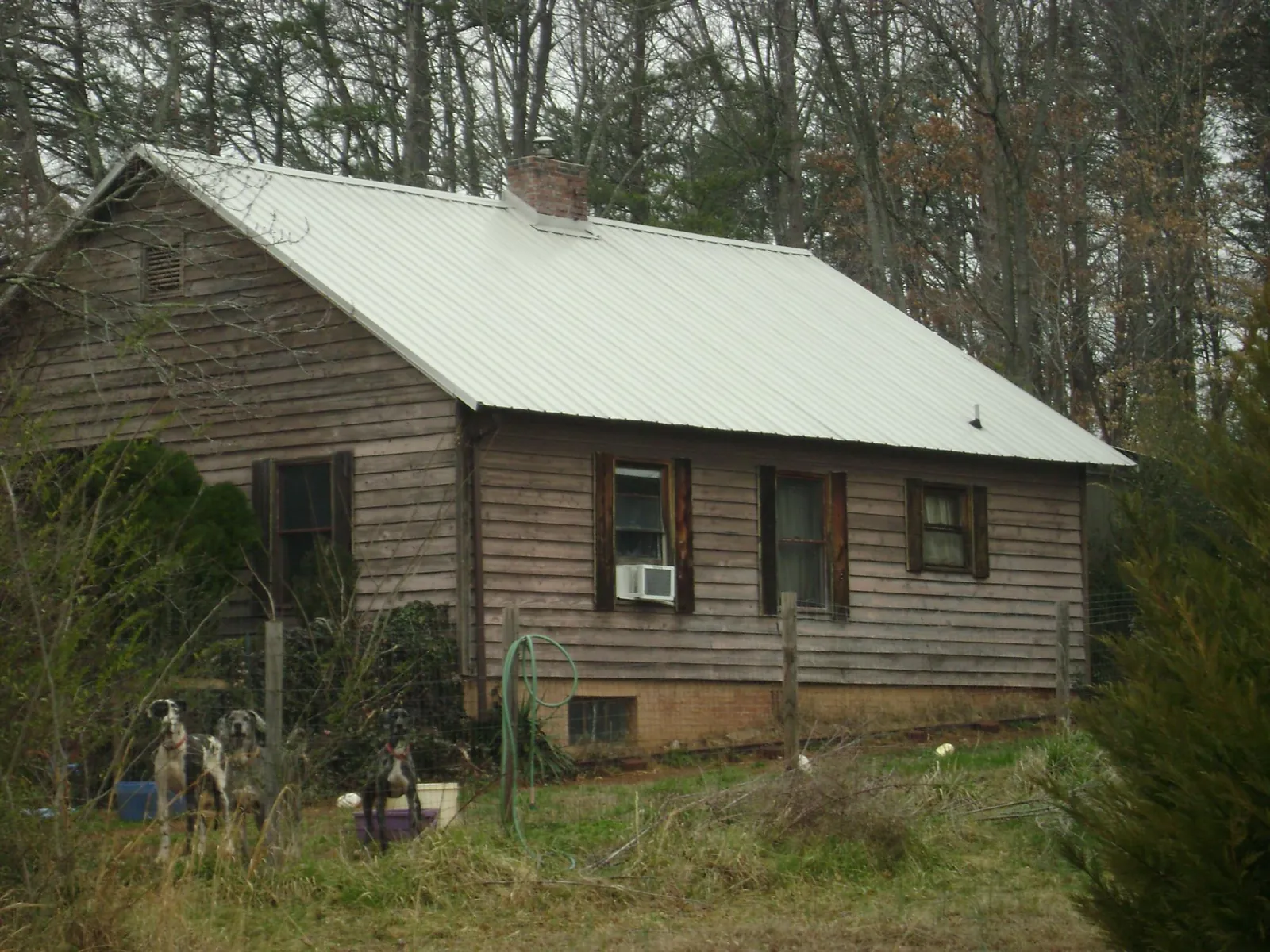 White metal roof on an old wood sided farmhouse, from a Asphalt Shingle Roof Repair job in Sumatra